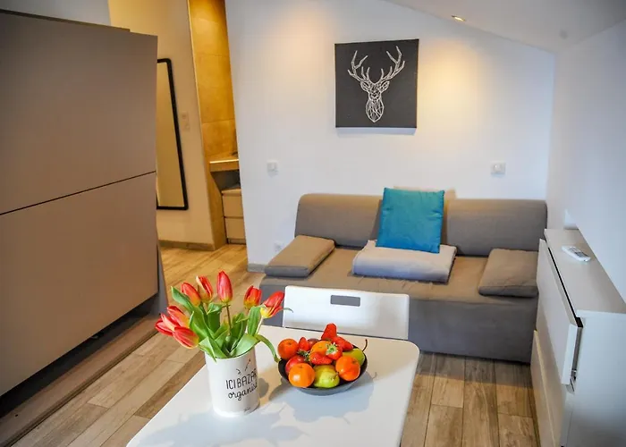 Les Du Pecheur - Hypercentre - Clim - Trip 3* אז'אקסיו