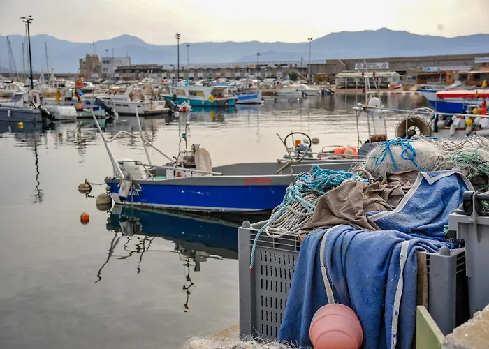 Les Du Pecheur - Hypercentre - Clim - Trip מלון דירות אז'אקסיו