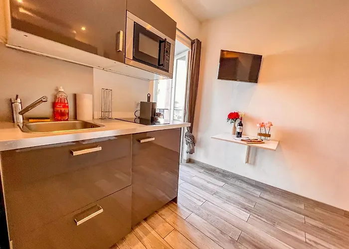 מלון דירות Les Du Pecheur - Hypercentre - Clim - Trip אז'אקסיו