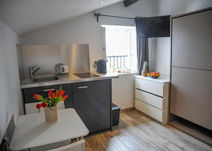 Les Du Pecheur - Hypercentre - Clim - Trip מלון דירות 3*