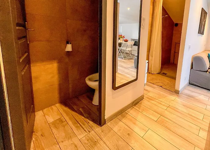 Les Du Pecheur - Hypercentre - Clim - Trip מלון דירות אז'אקסיו