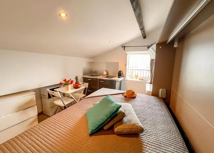 מלון דירות Les Du Pecheur - Hypercentre - Clim - Trip אז'אקסיו