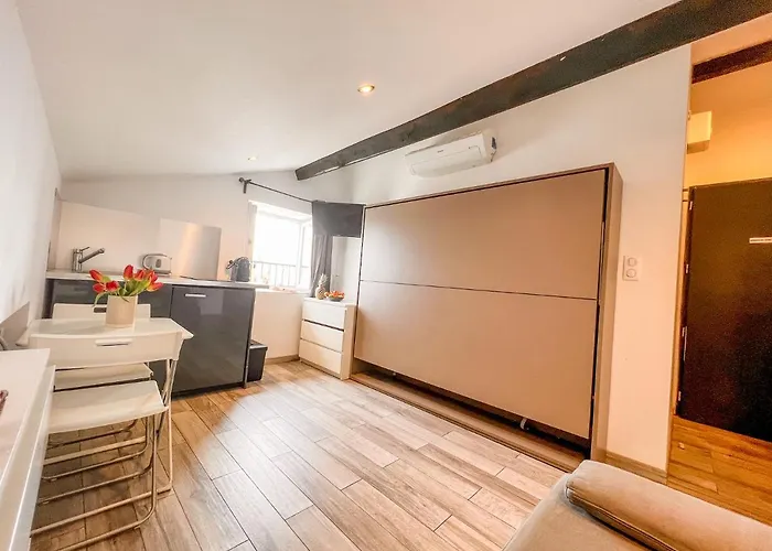 Les Du Pecheur - Hypercentre - Clim - Trip 3*