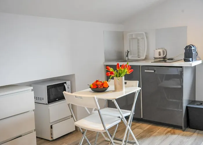 Les Du Pecheur - Hypercentre - Clim - Trip 3* אז'אקסיו