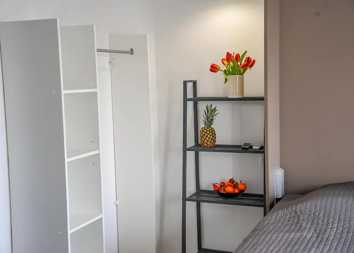 Les Du Pecheur - Hypercentre - Clim - Trip מלון דירות