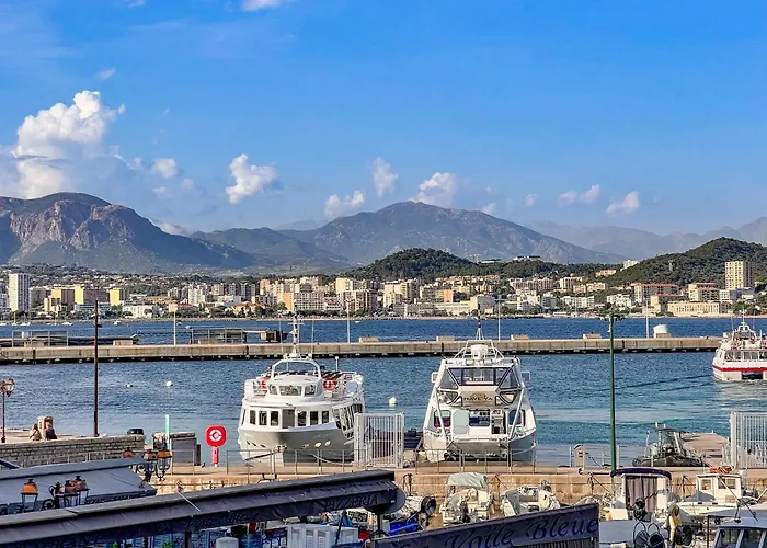 Les Du Pecheur - Hypercentre - Clim - Trip מלון דירות אז'אקסיו