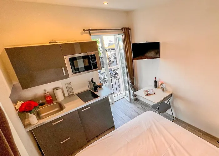 מלון דירות Les Du Pecheur - Hypercentre - Clim - Trip 3*