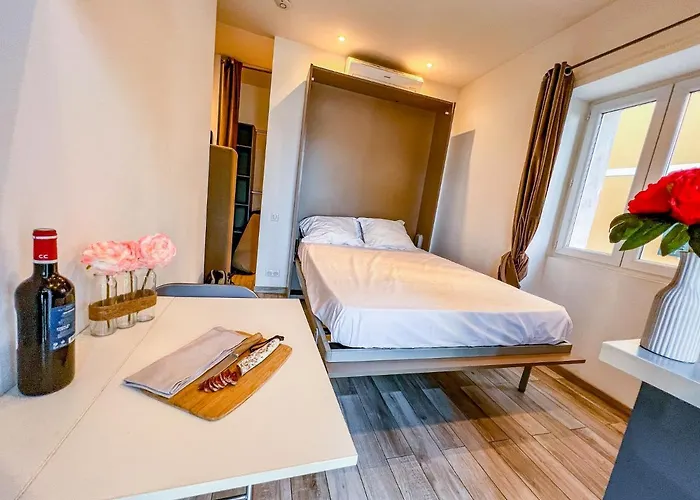 Les Du Pecheur - Hypercentre - Clim - Trip מלון דירות